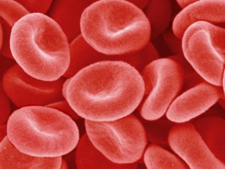 Pourquoi le sang est-il rouge?